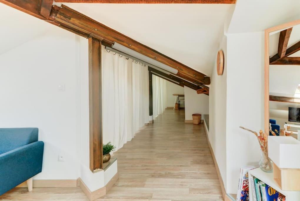 Joli Loft Mansarde Apartment Nizza